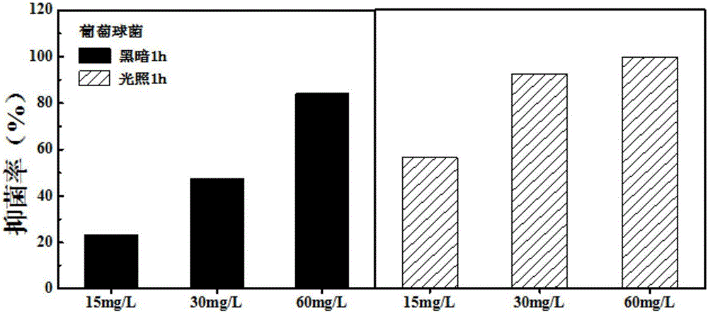 Preparation and application of yttrium oxide-ferroferric oxide composite nanometer antibacterial material