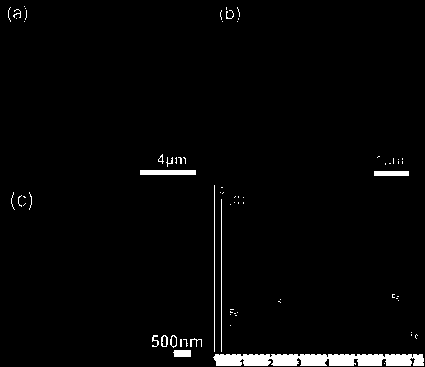 Carbon-layer-coated nano iron having butterfly wing microscopic structure and preparation method thereof