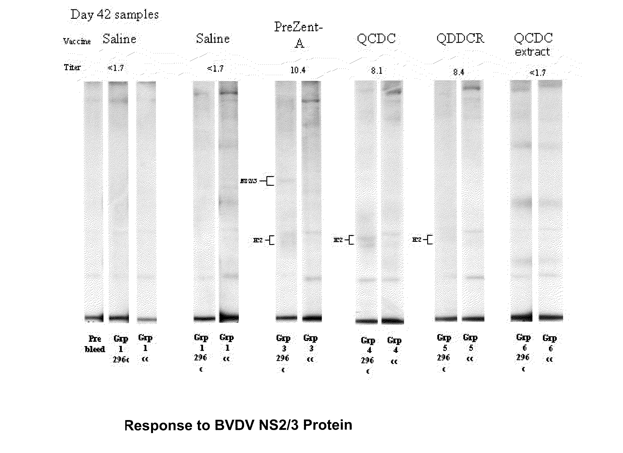 Adjuvant compositions