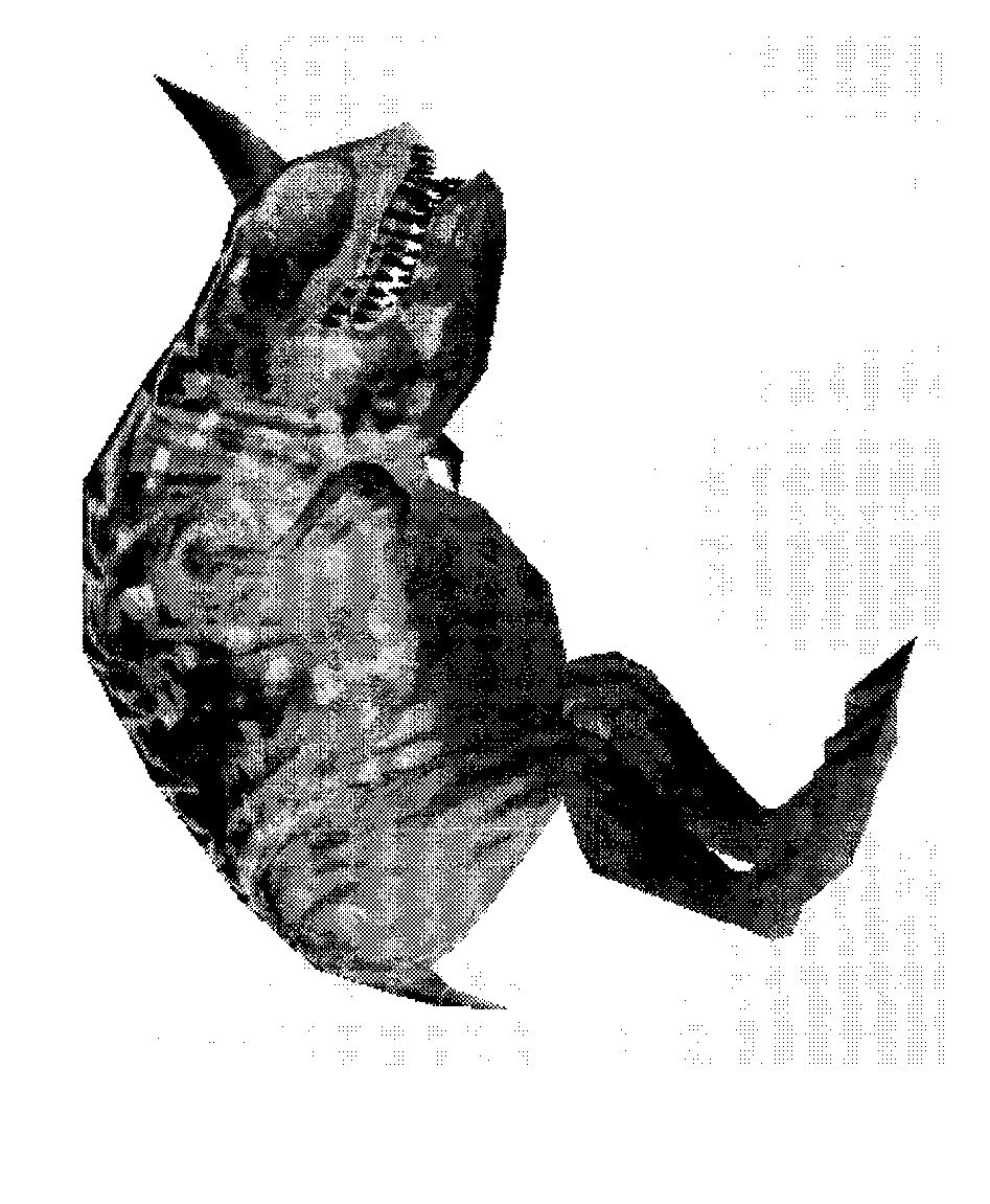 Three-dimensional figure data processing method and device