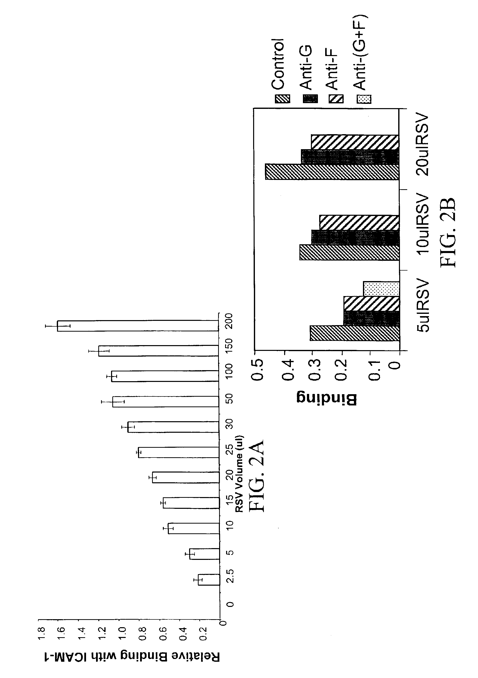 Interrupting the interaction of intercellular adhesion molecule-1 and respiratory syncytial virus for prevention and treatment of infection