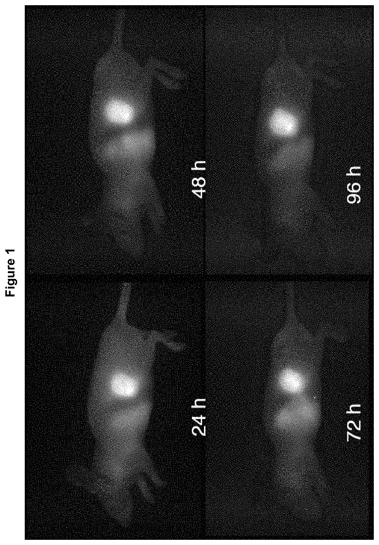 NIR-conjugated tumor-specific antibodies and uses thereof