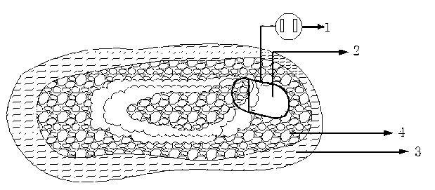 Electric hot-water bag utilizing phase change latent heat and manufacturing method thereof