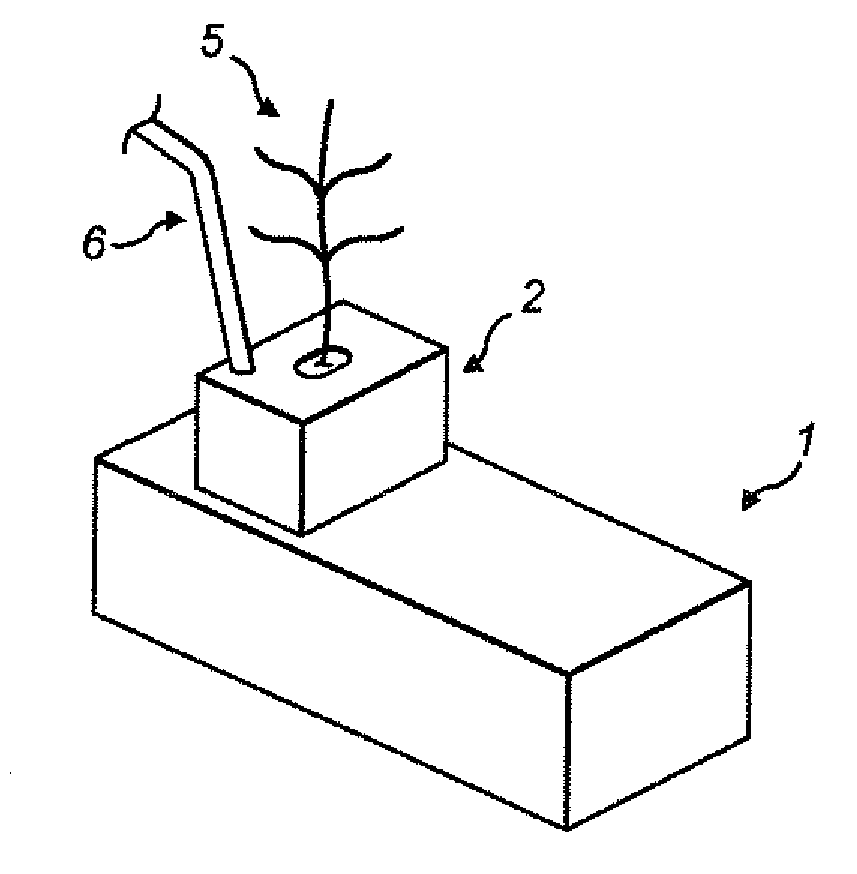 Plant growth system