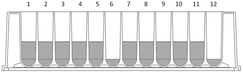 Kit for extracting nucleic acid from bacteria by using paramagnetic particle method and extracting method