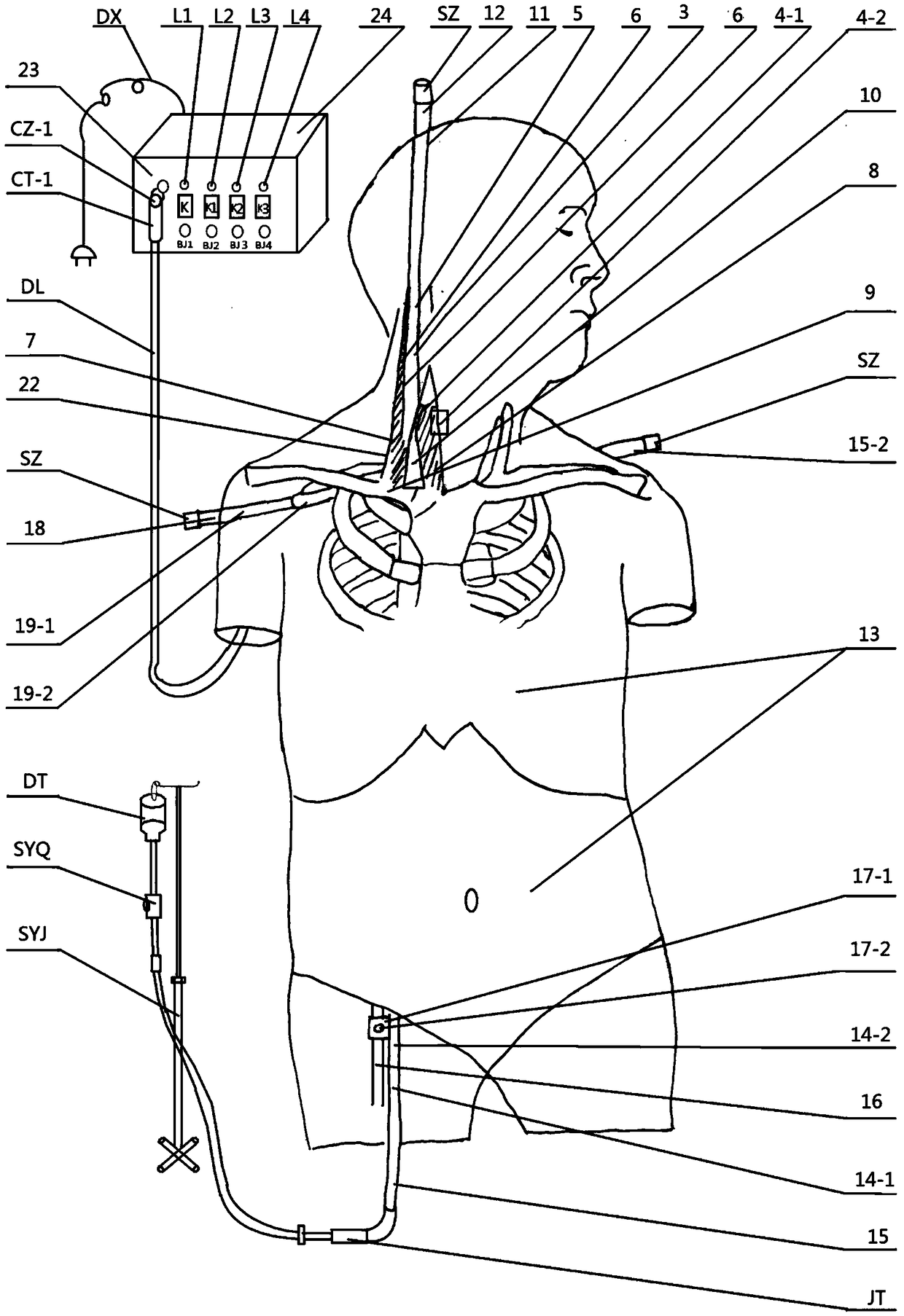 Central vein puncture training model