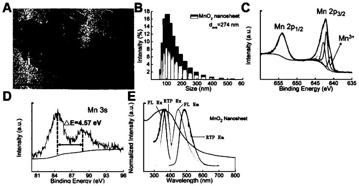 Preparation method of cyanuric acid-carbon dot composite nano phosphorescent probe and application thereof