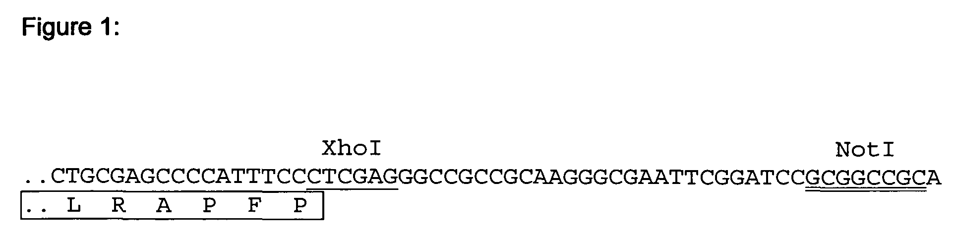 Modified Coagulation Factor VIIa With Extended Half-Life