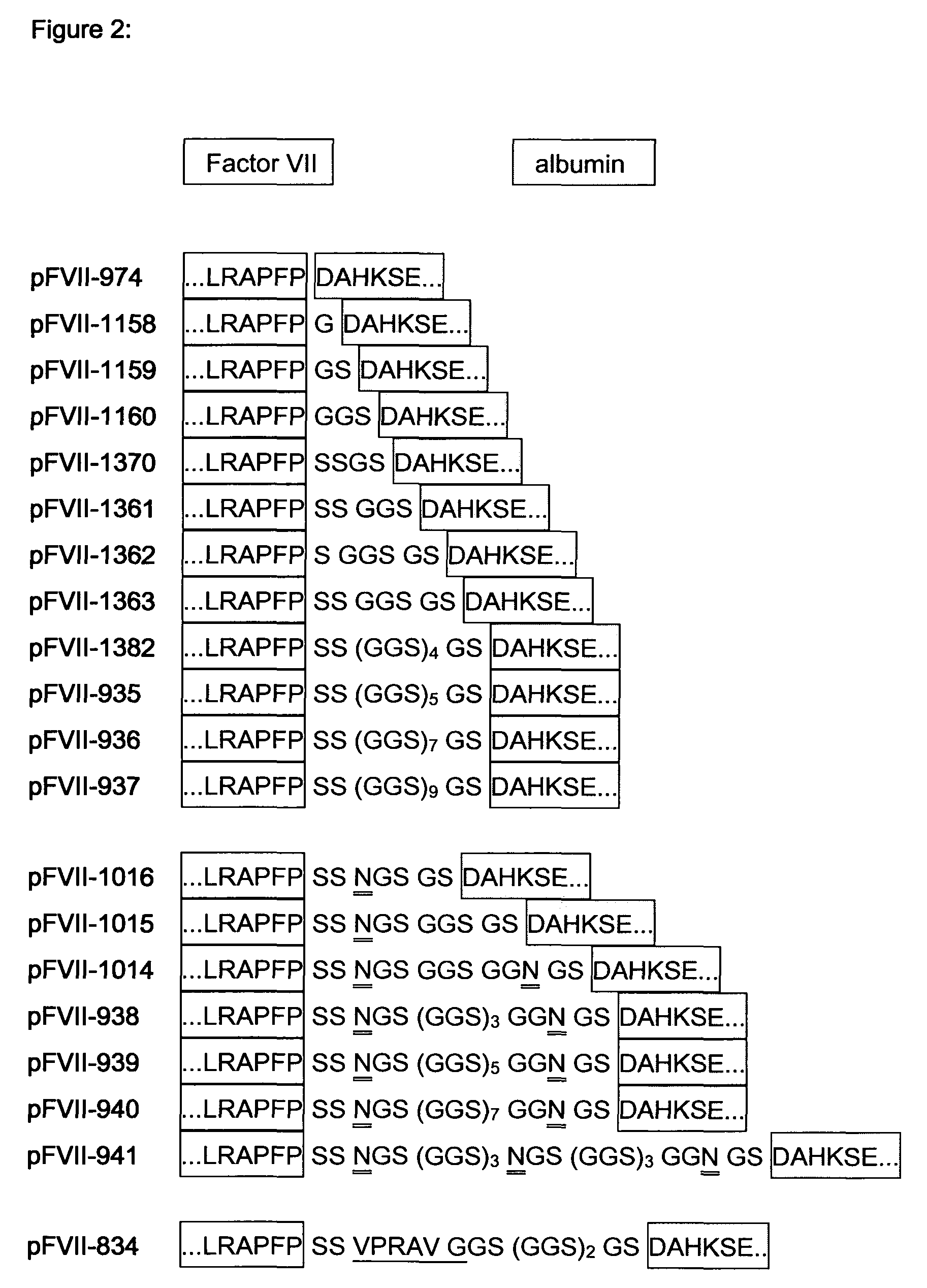 Modified Coagulation Factor VIIa With Extended Half-Life