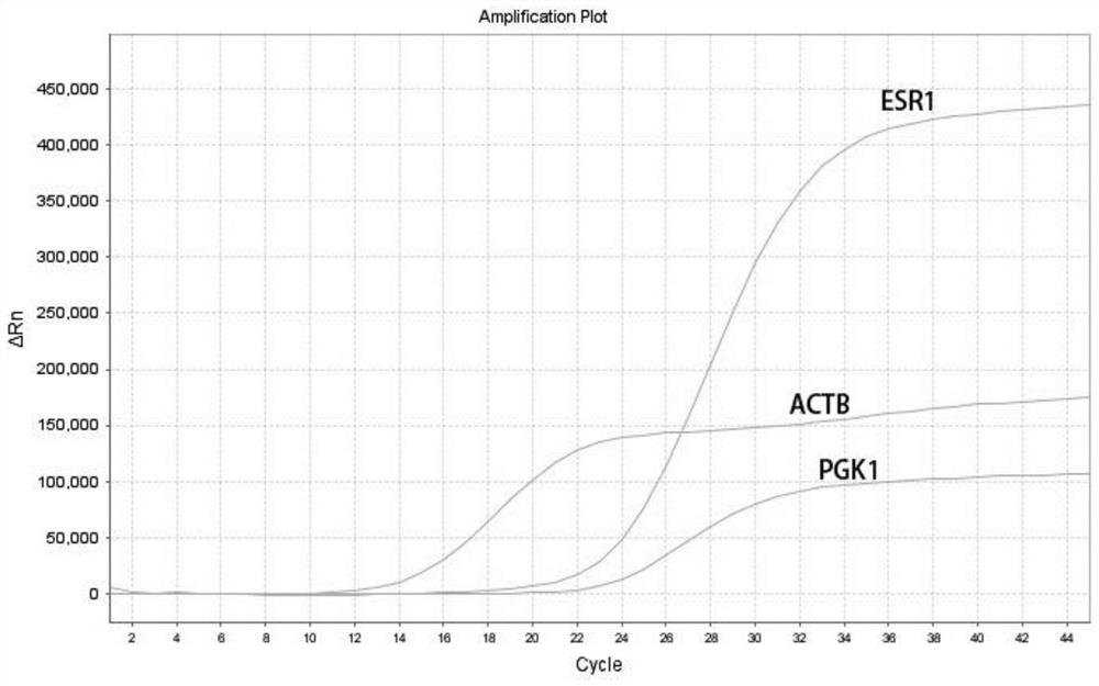 Primer, probe, kit and detection method for detecting ESR1 gene expression