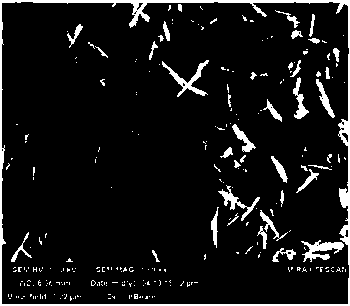 Preparation method for lithium iron phosphate precursor without wastewater discharge