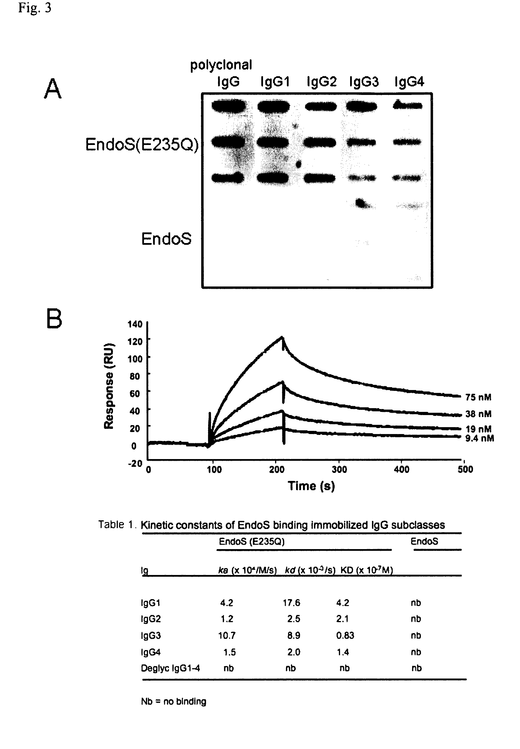 Method of assessing glycosylation state or functional quality of an IgG containing sample