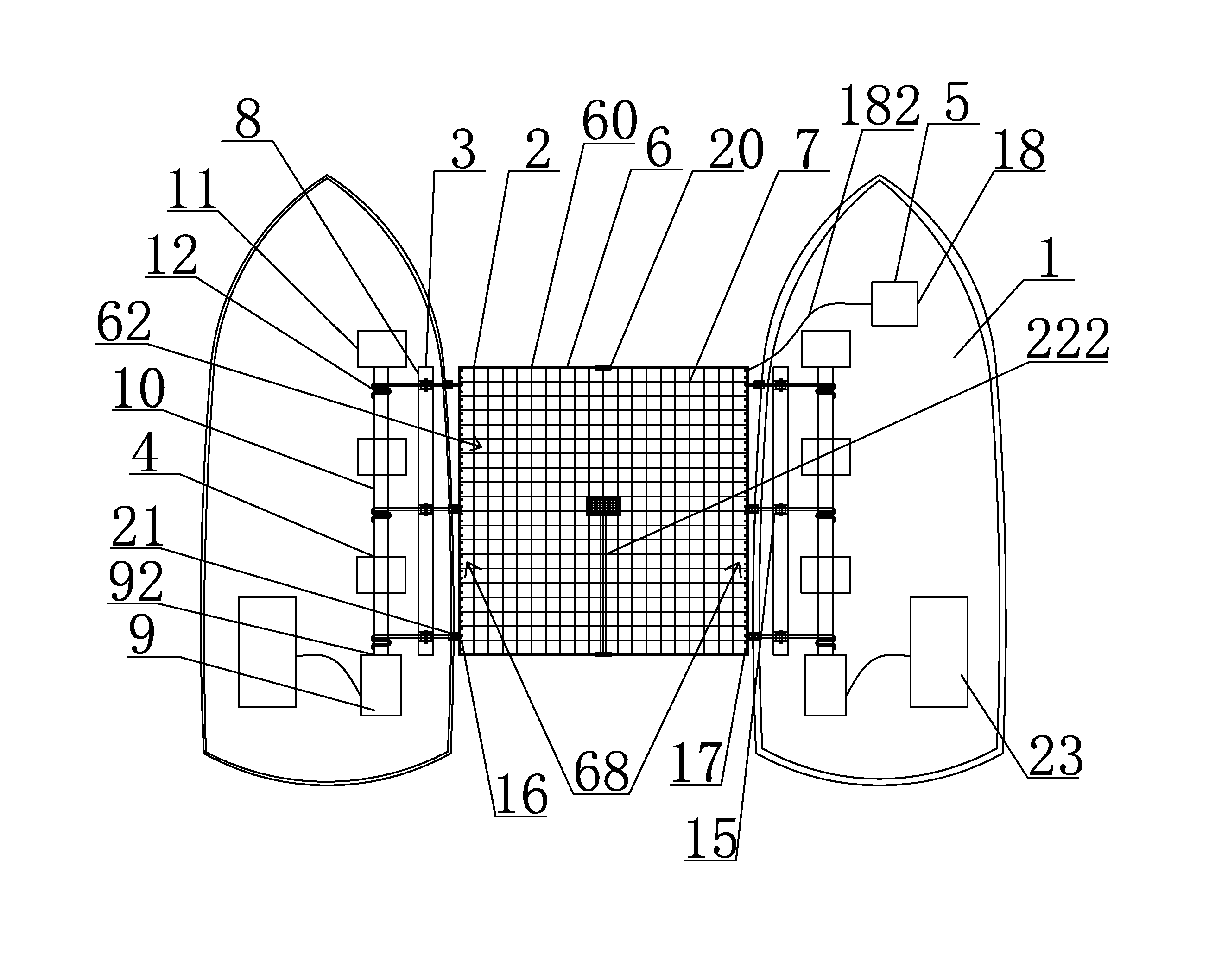 Asian Carp Fishing Device