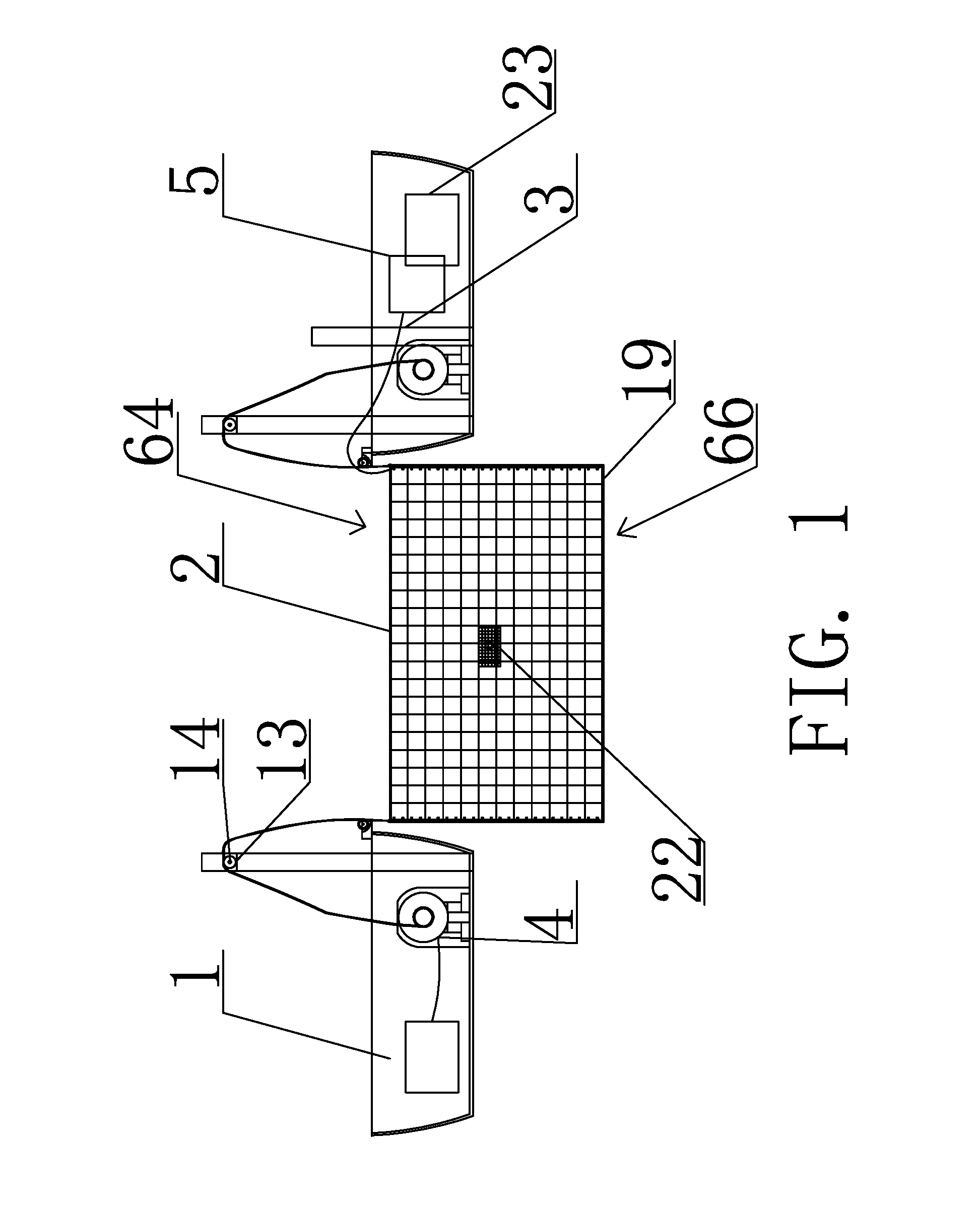 Asian Carp Fishing Device