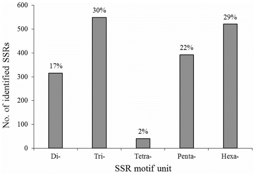 Polymorphic primers for Bactrian camels and their screening methods and methods for identifying parent-child relationship