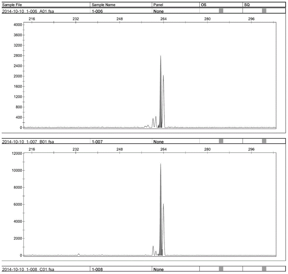 Polymorphic primers for Bactrian camels and their screening methods and methods for identifying parent-child relationship