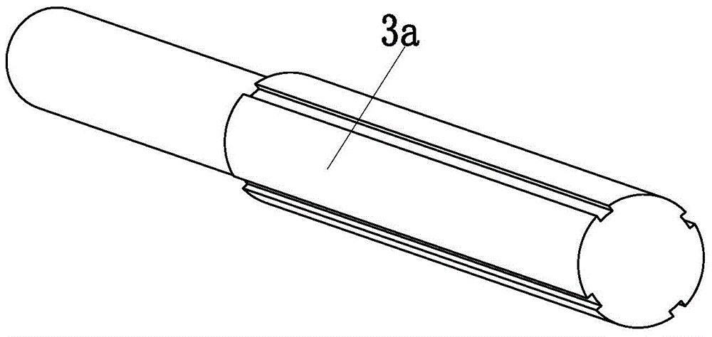 Double-winding device for dialyzing paper winding device