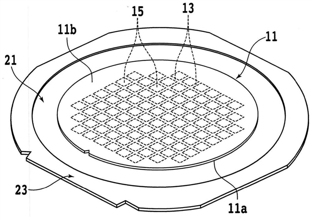 Cutting apparatus