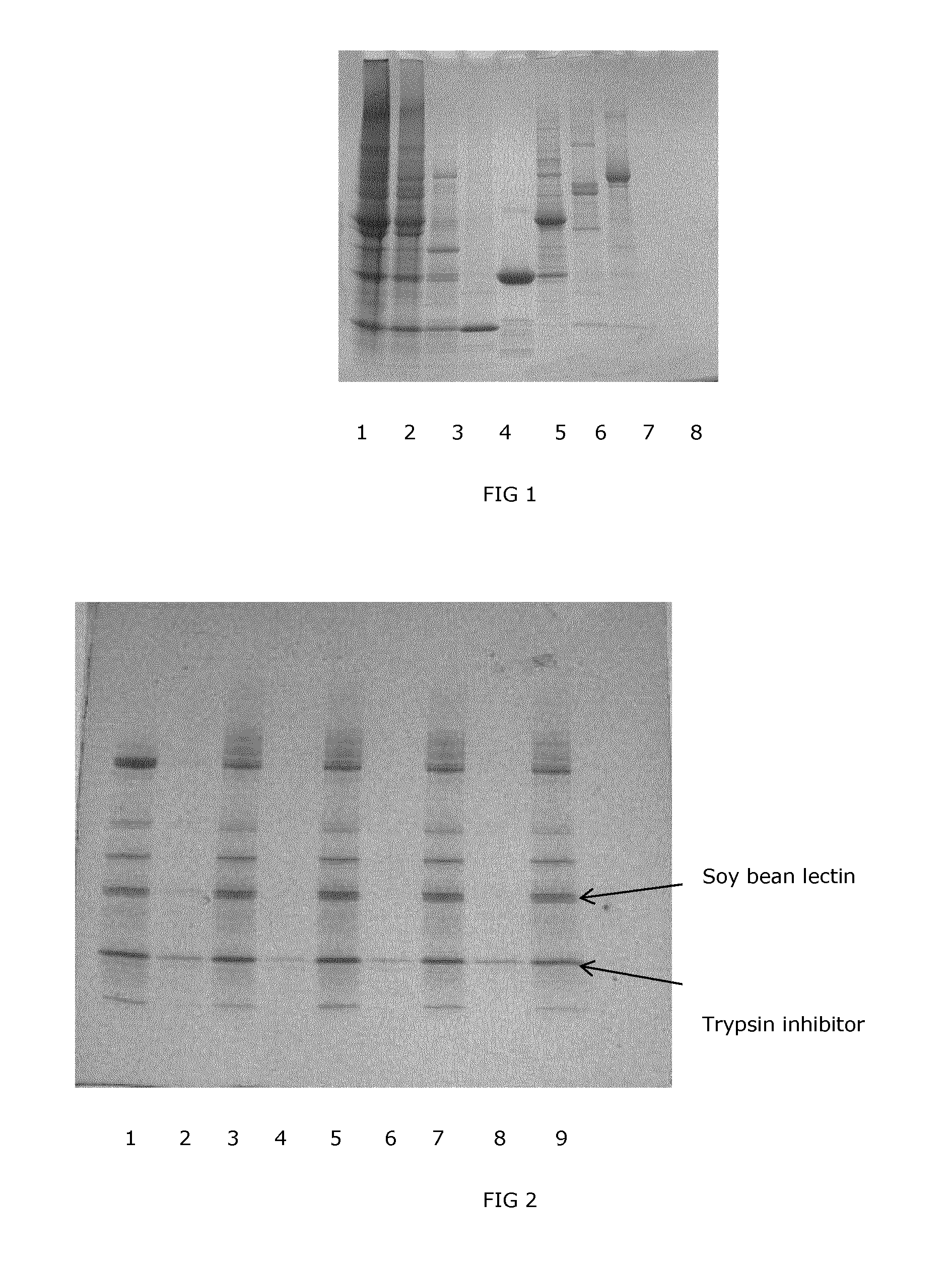 Separation processes for soy protein