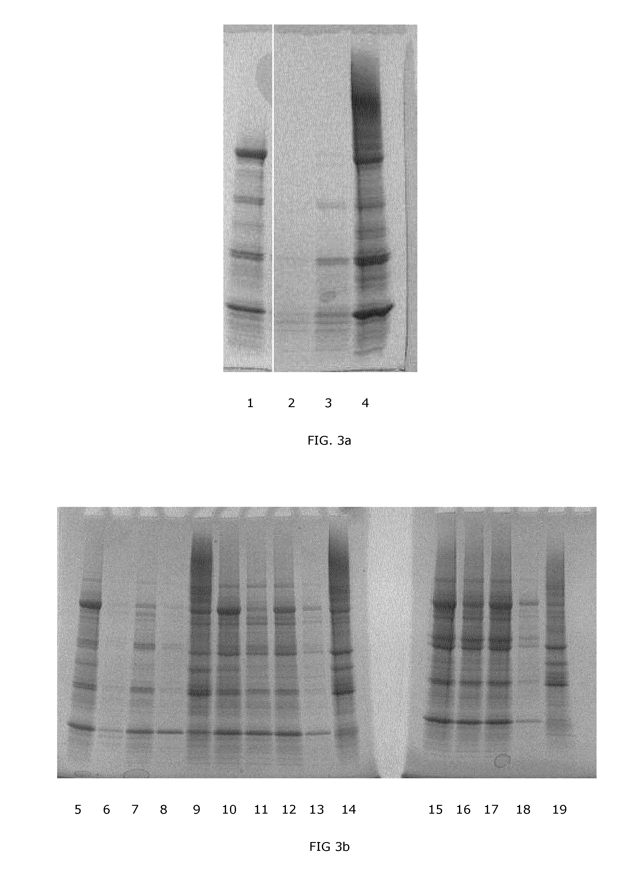 Separation processes for soy protein