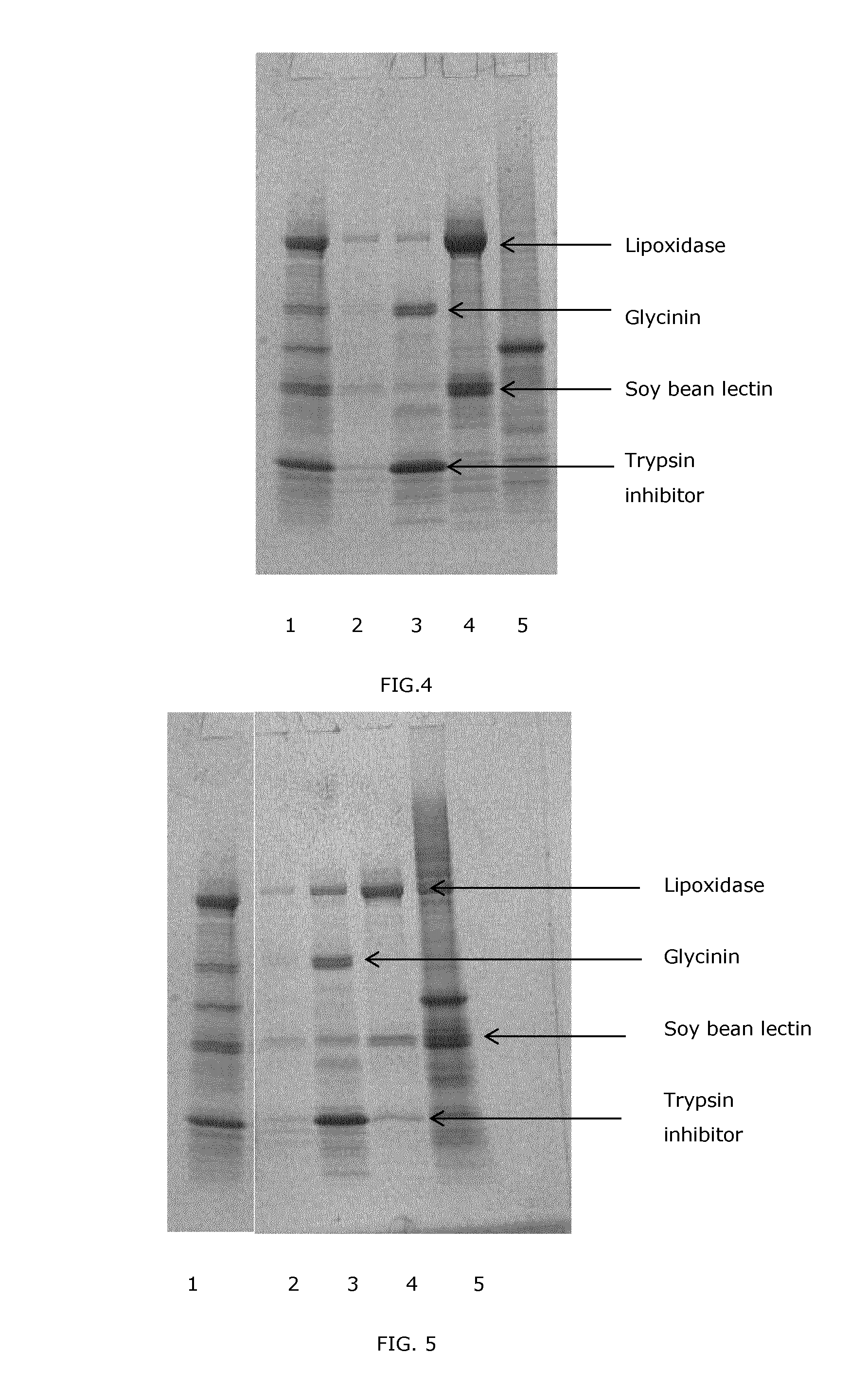 Separation processes for soy protein