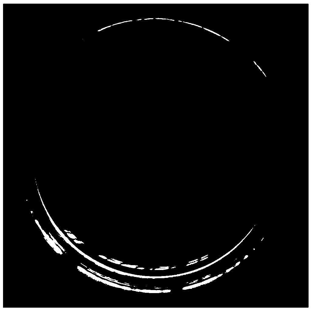 Metarhizium anisopliae strain with high pathogenicity to larvae of Milionia basalis and application of Metarhizium anisopliae strain