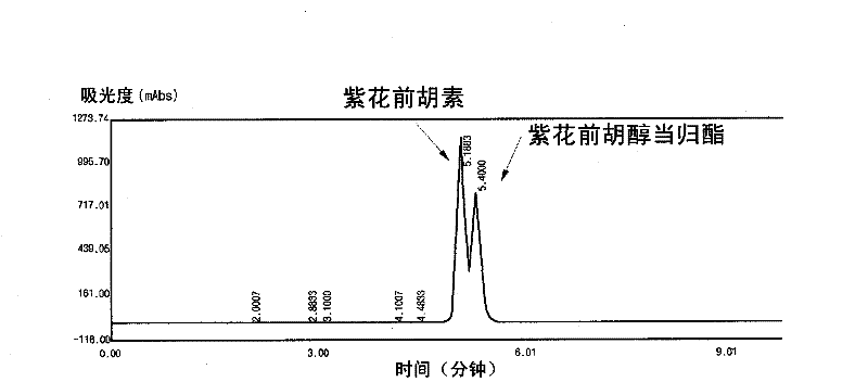 Composition for treating gout containing Angelica Korean angelica extract having xanthine oxidase inhibitory effect and inflammation-inducing enzyme inhibitory effect