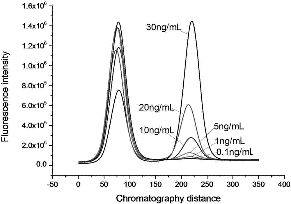 cTnI-cTnC-cTnT tripolymer protein and preparation method thereof, and cTnI detection kit