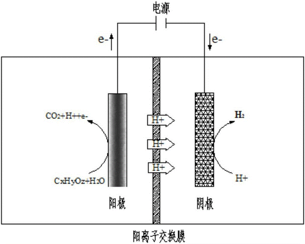 Method and device for treating coking wastewater and producing hydrogen gas by microbial electrolysis cell