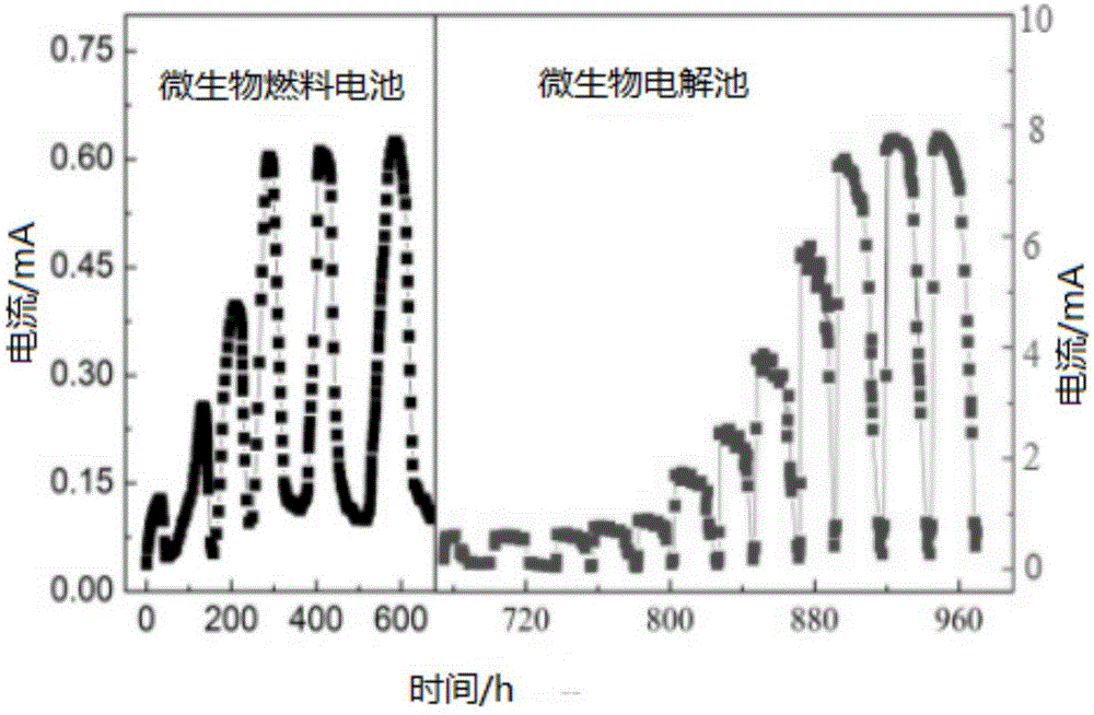 Method and device for treating coking wastewater and producing hydrogen gas by microbial electrolysis cell