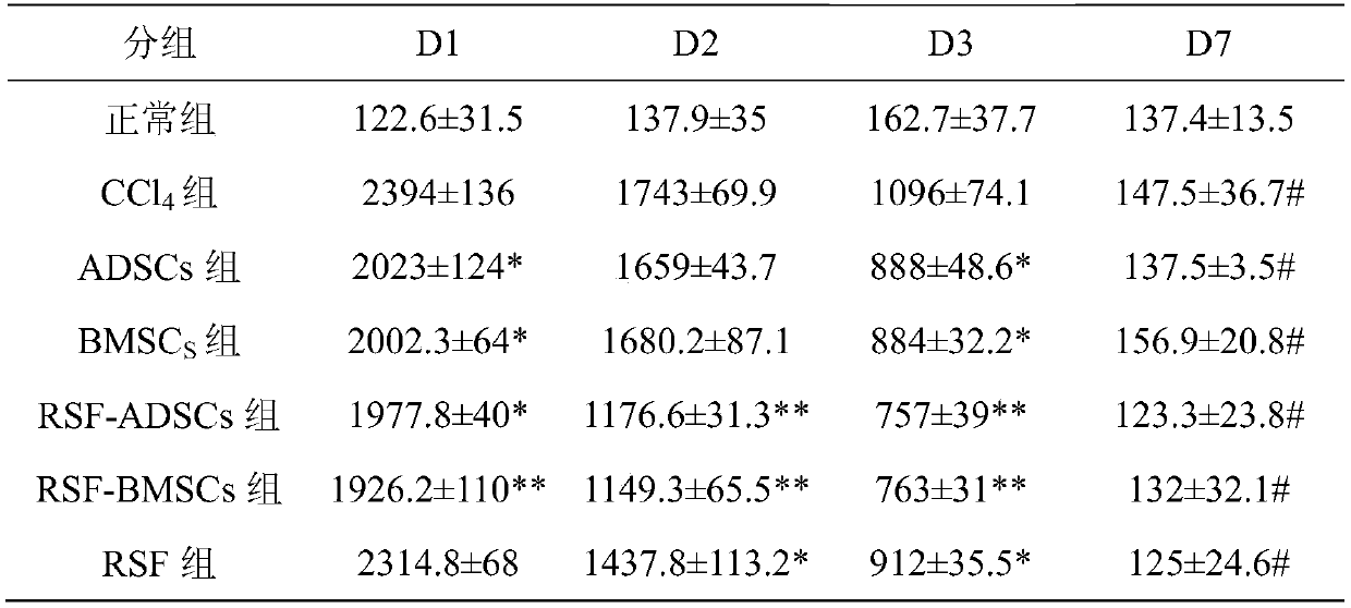 Culture method of artificial liver repair material based on adult stem cell-regenerated silk fibroin tissue engineering scaffold