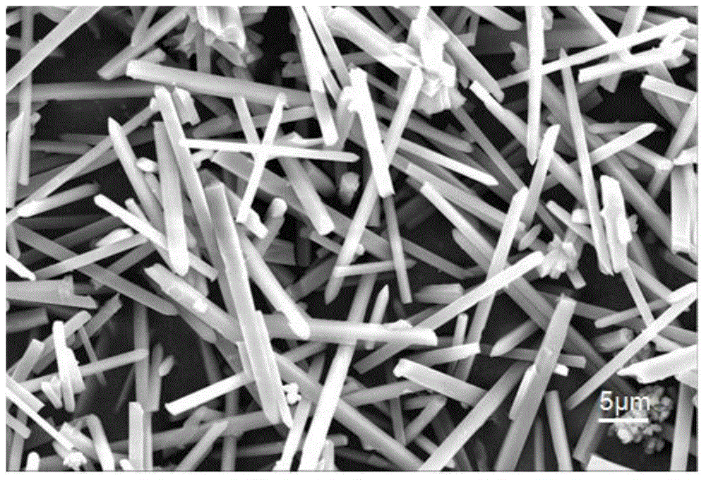 Mullite-whisker-reinforced anorthite porous ceramic and preparation method thereof