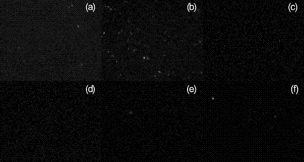 Antifouling coating material based on amphiphilic sol and preparation method thereof