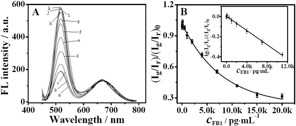 Preparing method for magnetic control ratio fluorescence adapter sensor for sensitivity detection of fumonisins B1