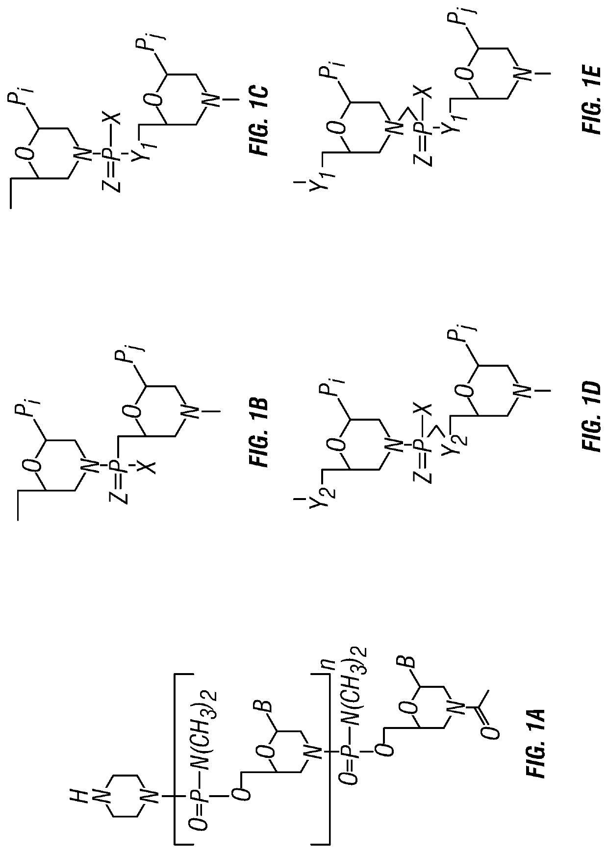 Antisense antibacterial compounds and methods