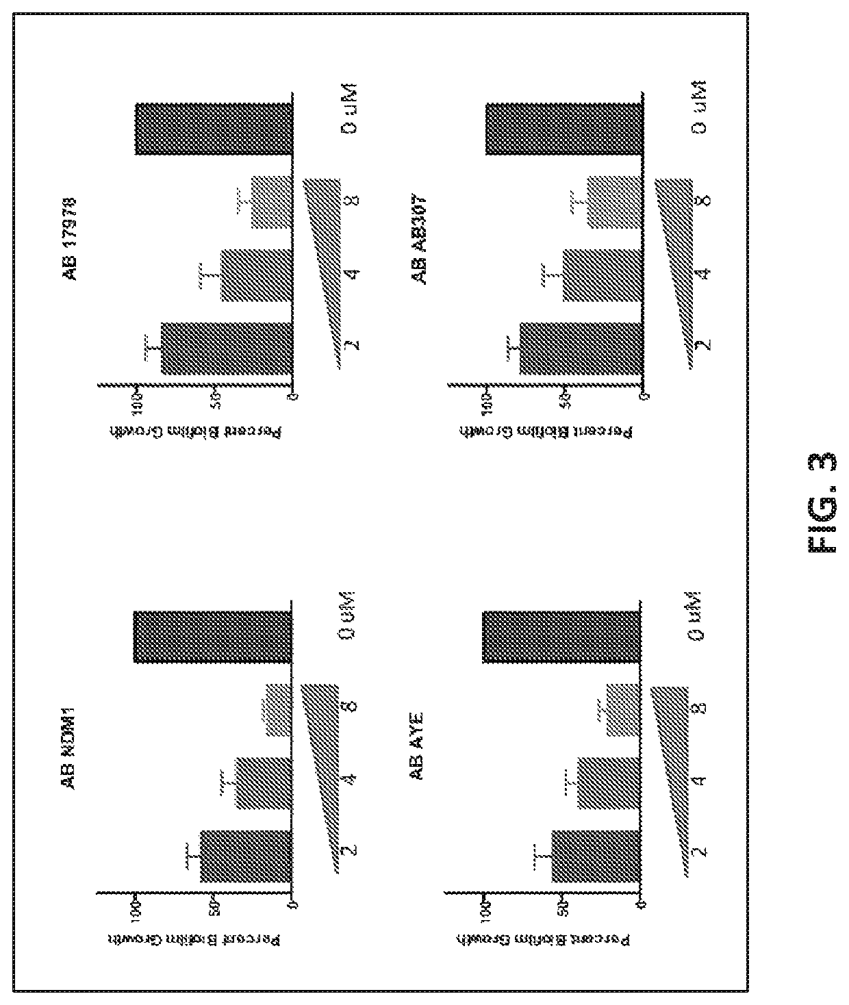 Antisense antibacterial compounds and methods