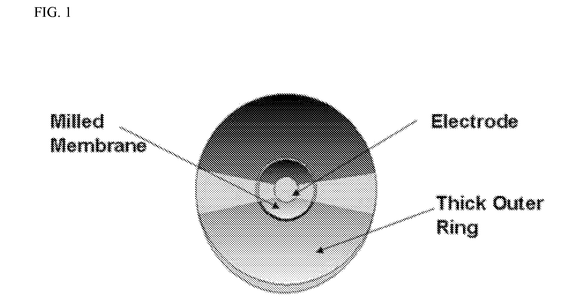 High frequency thickness shear mode acoustic wave sensor for gas and organic vapor detection