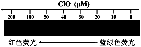 Ratio fluorescence nano probe and application thereof