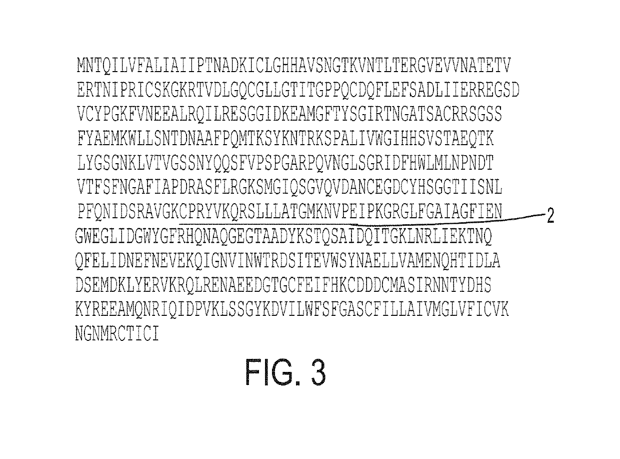 Modified H7 hemagglutinin glycoprotein of the Influenza A/Shanghai/2/2013 H7 sequence