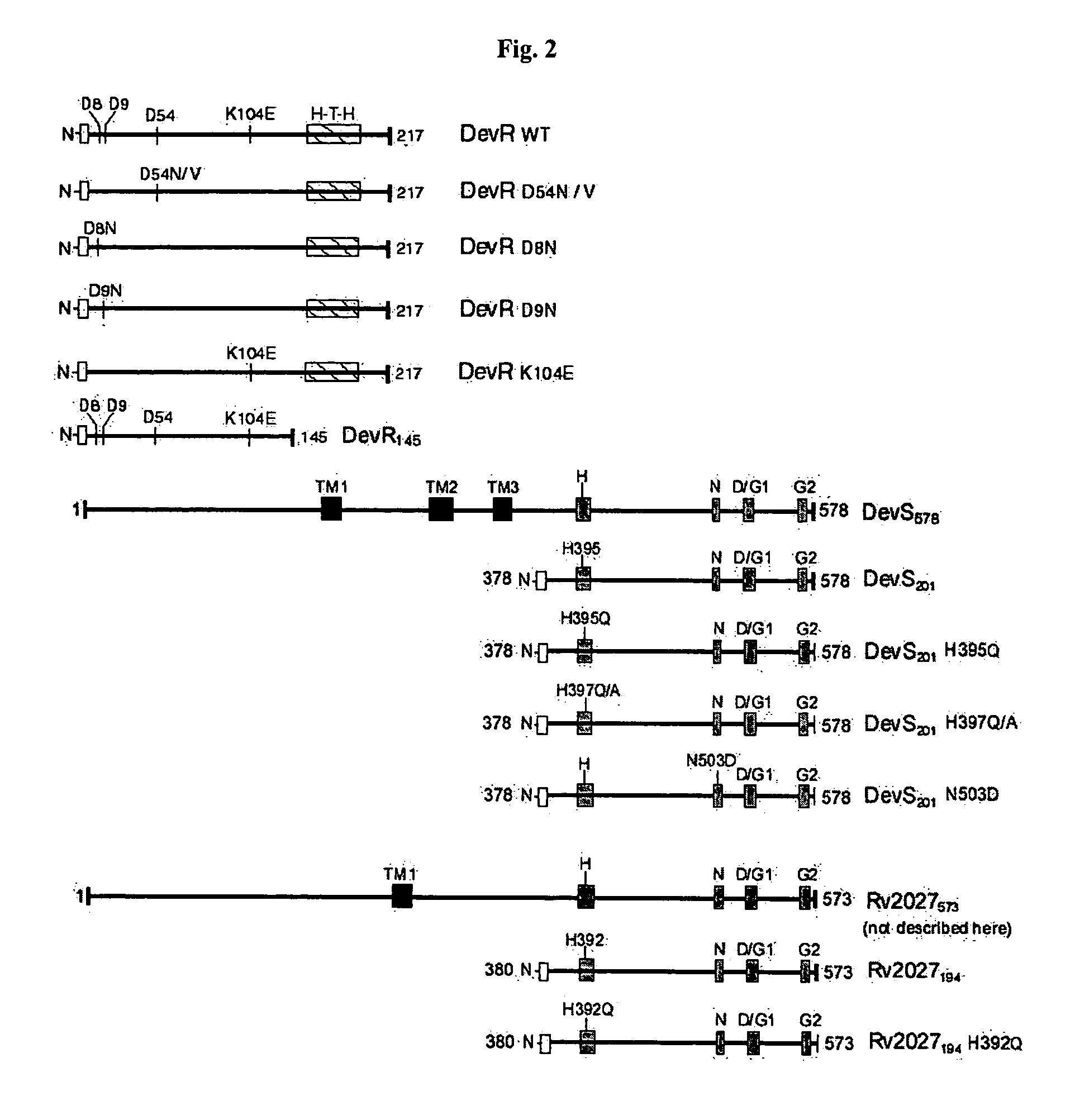 Screening method for developing drugs against pathogenic microbes having two-component system