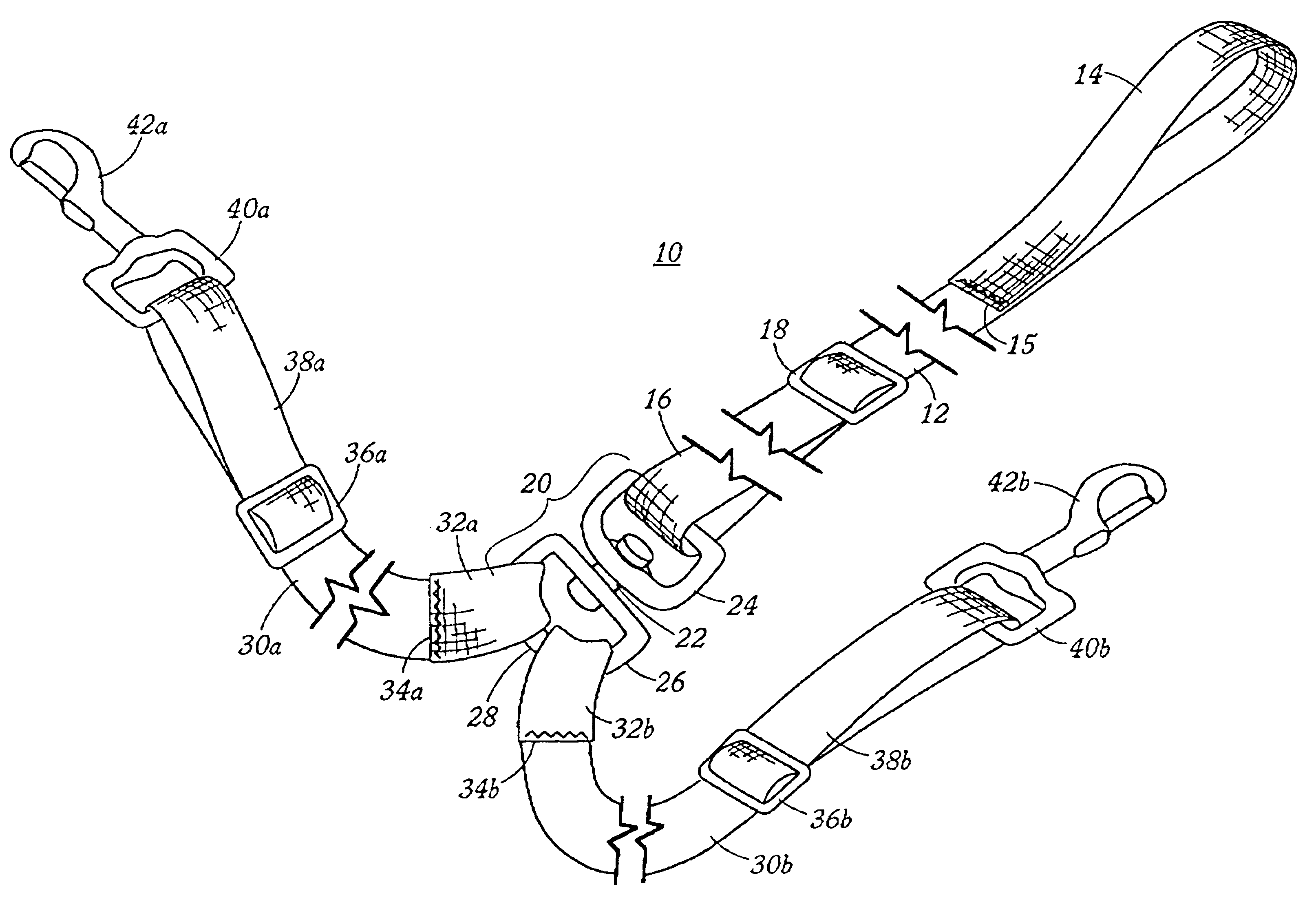 Multiple pet leash