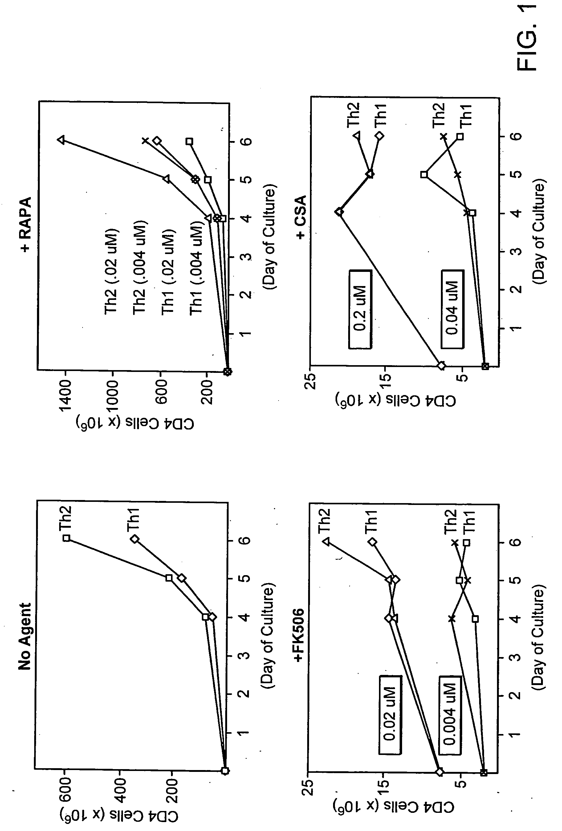 Rapamycin-resistant T cells and therapeutic uses thereof