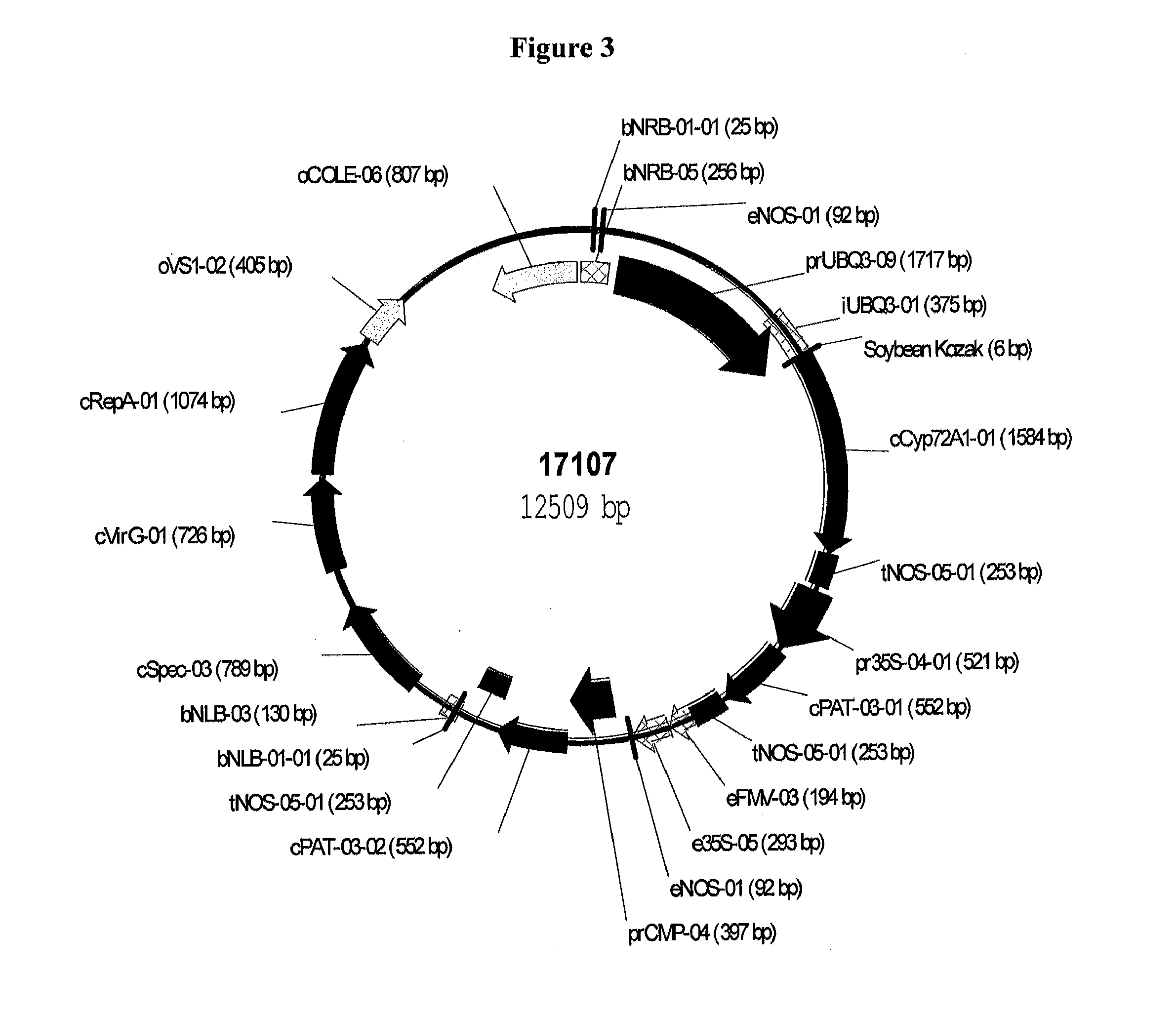 Cytochrome p450 genes conferring herbicide resistance