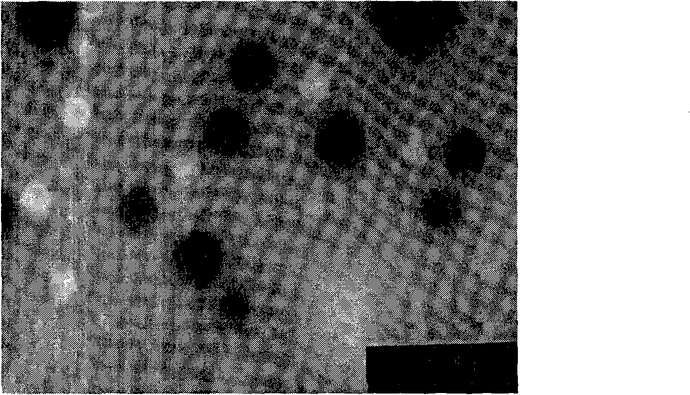 Tetrandrine nanoemulsion injection and method of preparing the same