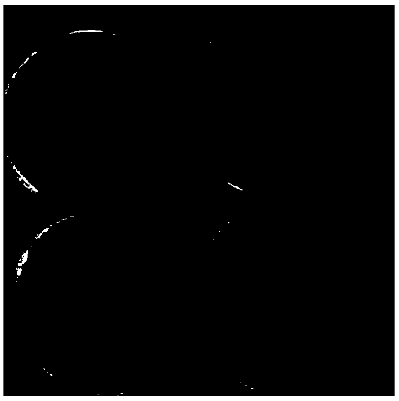 Preparation method of crocetin microemulsion and freeze-dried powder of crocetin microemulsion