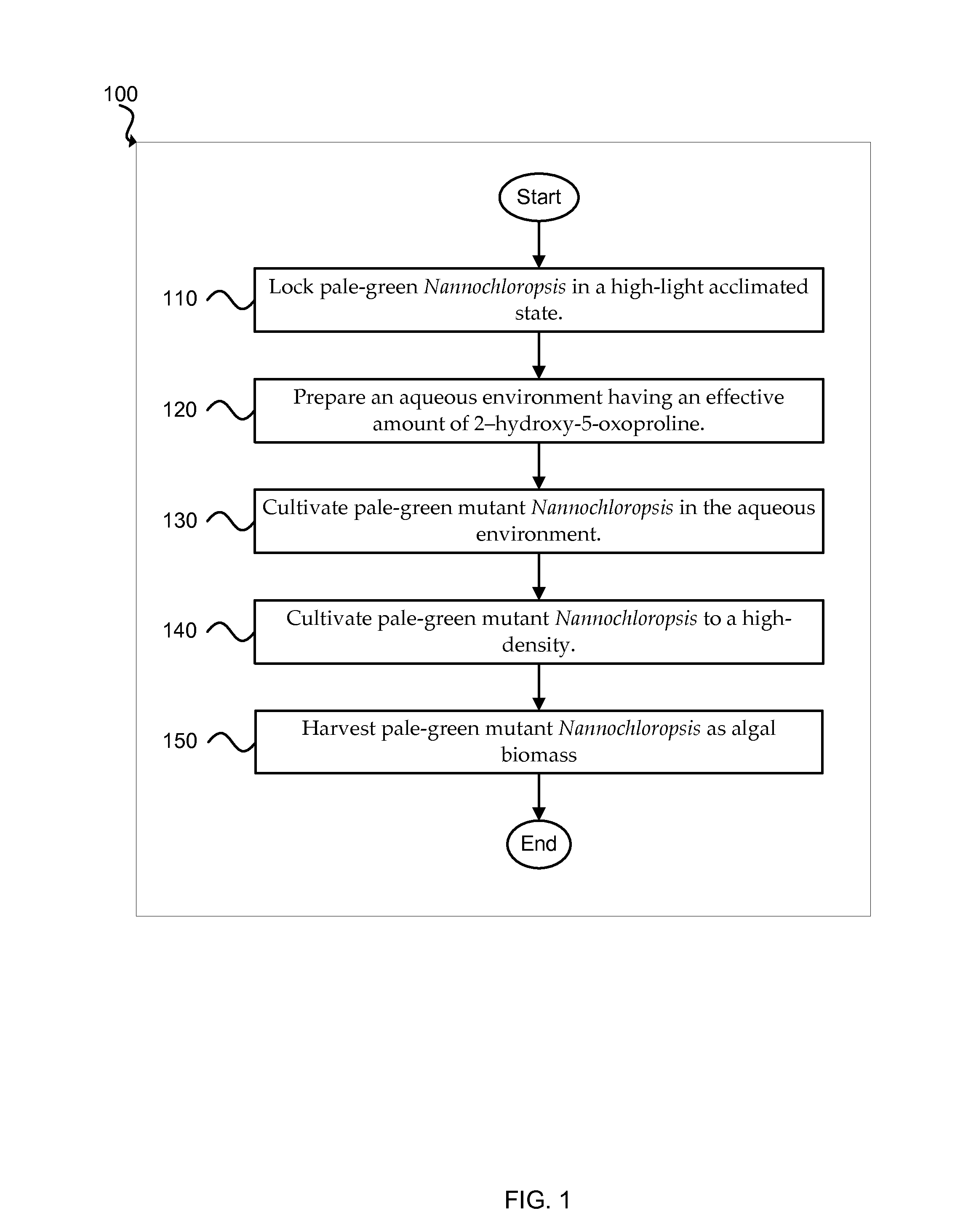 Use of 2-hydroxy-5-oxoproline in conjunction with algae