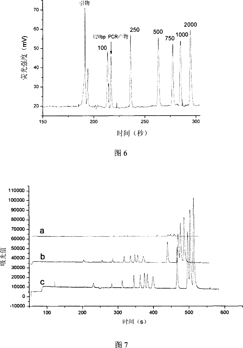 A functionalized microfluidic chip and its method for PCR product analysis