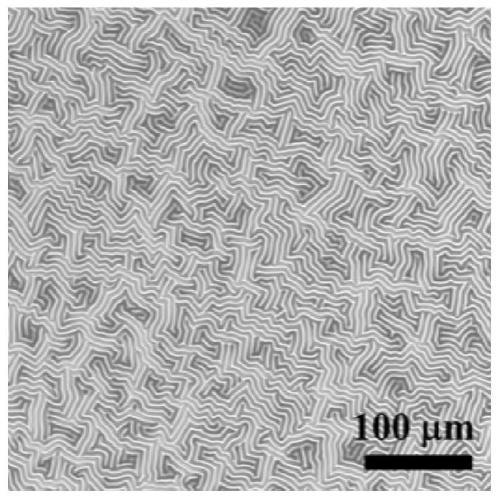 A controllable preparation method of photoresponsive surface wrinkle microstructure