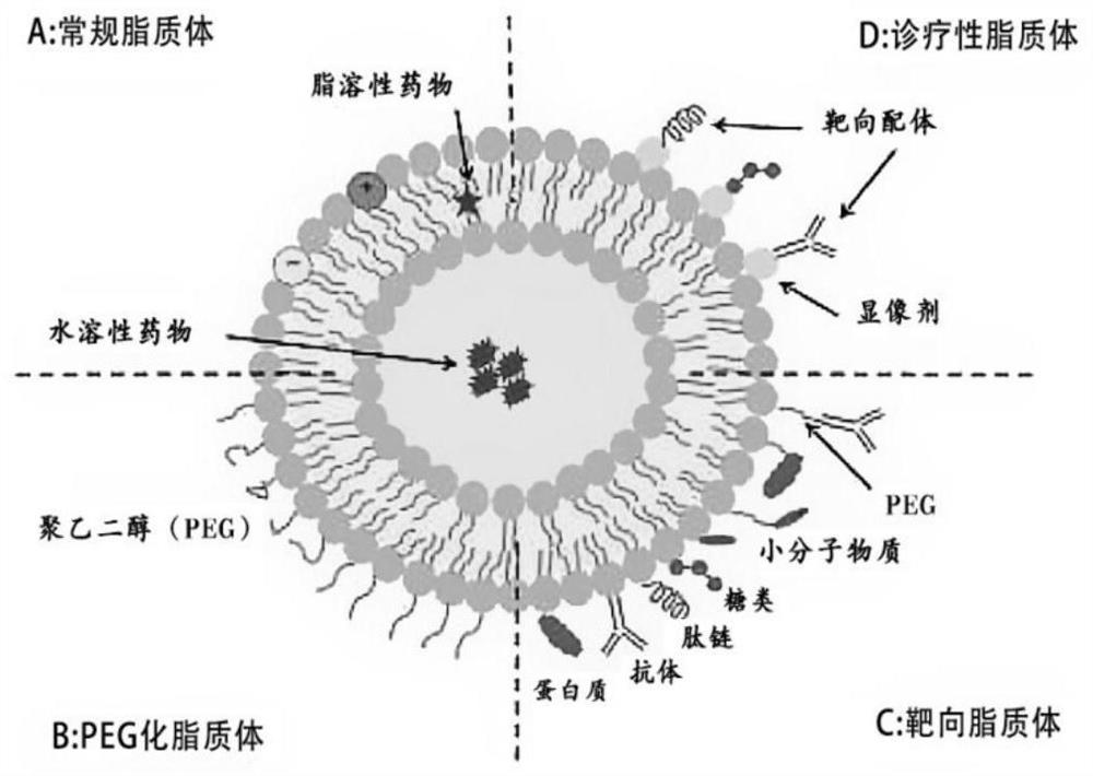 RI7217 and muscone co-modification DTX long-circulation lipidosome, preparation method and application