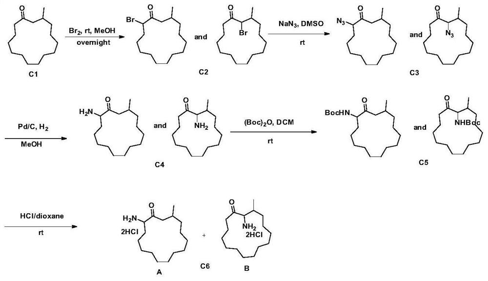 RI7217 and muscone co-modification DTX long-circulation lipidosome, preparation method and application